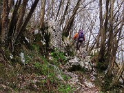 19 Bel sentiero in saliscendi nel bosco di carpini neri
